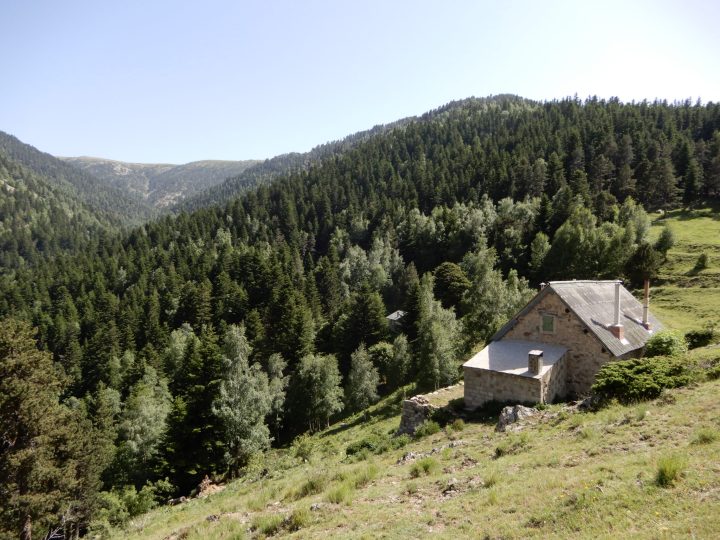 Maison Forestière de Mariailles