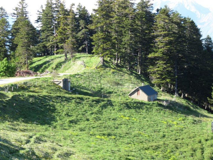 Chalet de Marre Barbe