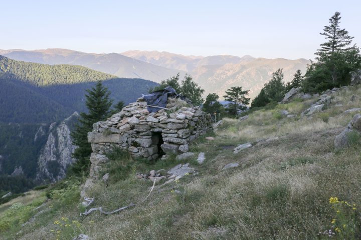 Orri de Moura