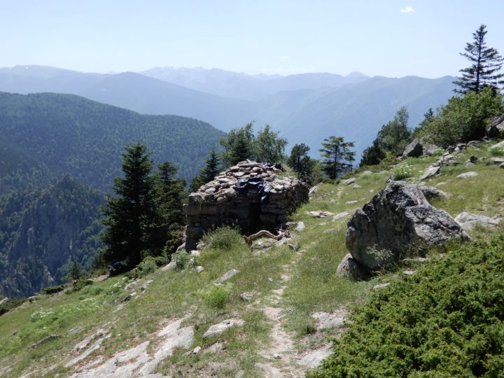 Orri de Moura