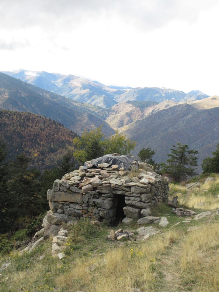 Orri de Moura