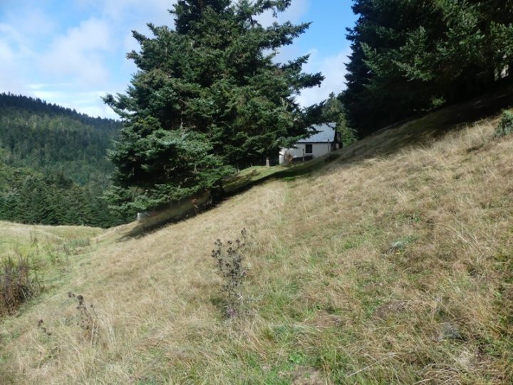 Cabanes d'Artigue Longue
