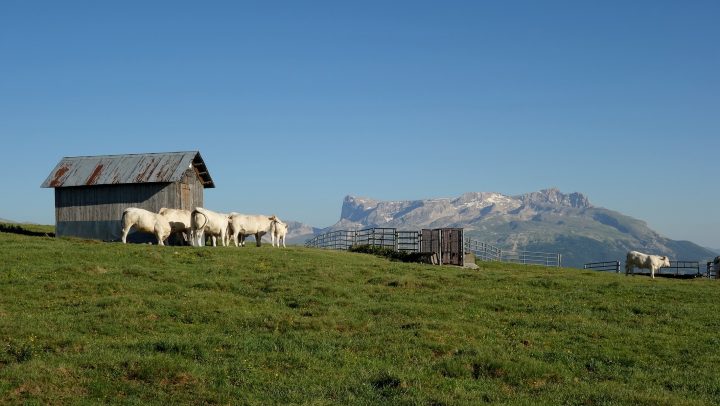Refuge Louis Debastiani