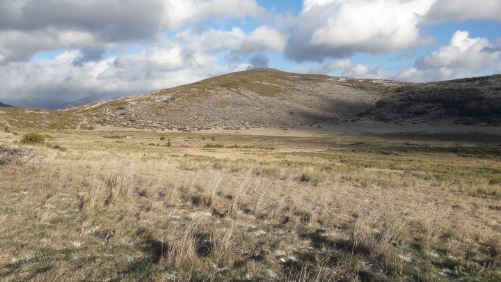Bergerie de Suech