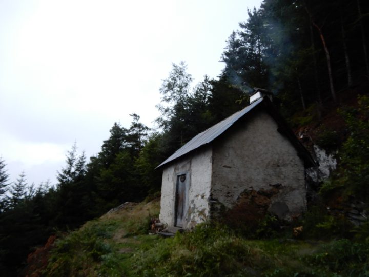 Cabane forestière de Prunadière