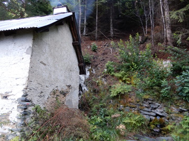 Cabane forestière de Prunadière