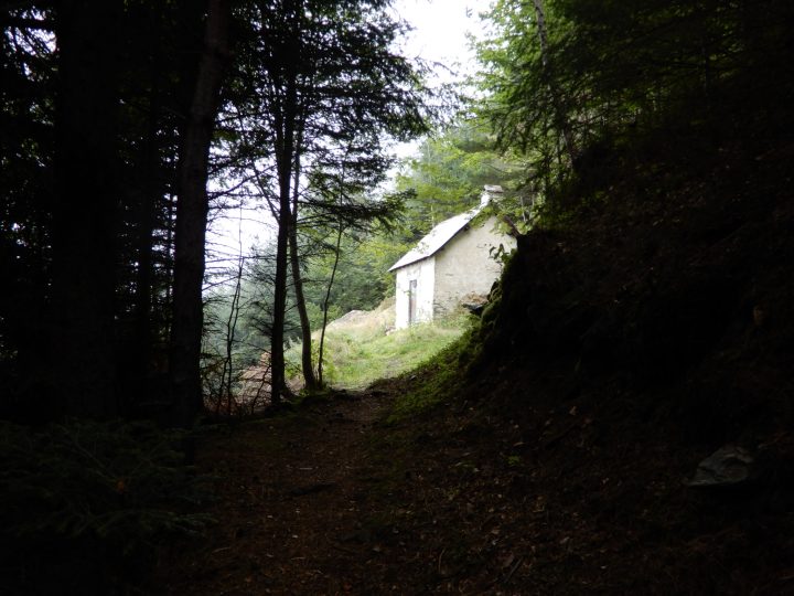 Cabane forestière de Prunadière