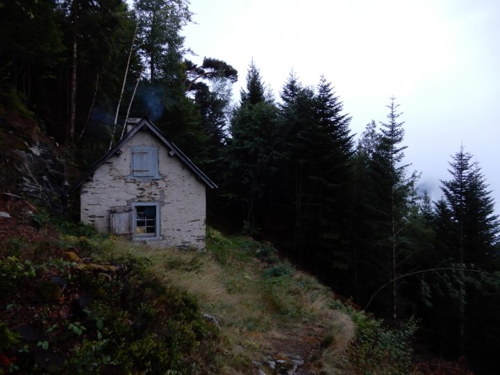 Cabane forestière de Prunadière