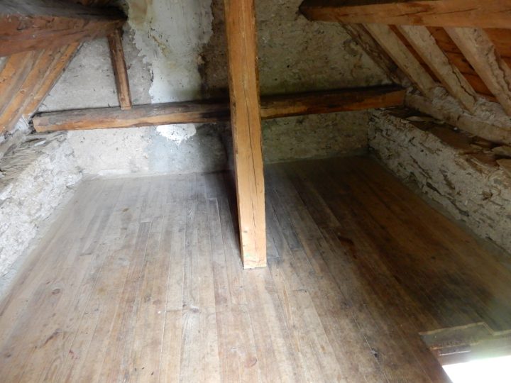 Cabane forestière de Prunadière