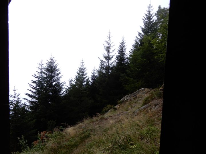 Cabane forestière de Prunadière