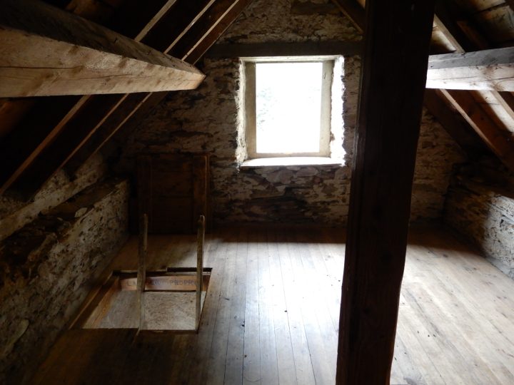 Cabane forestière de Prunadière