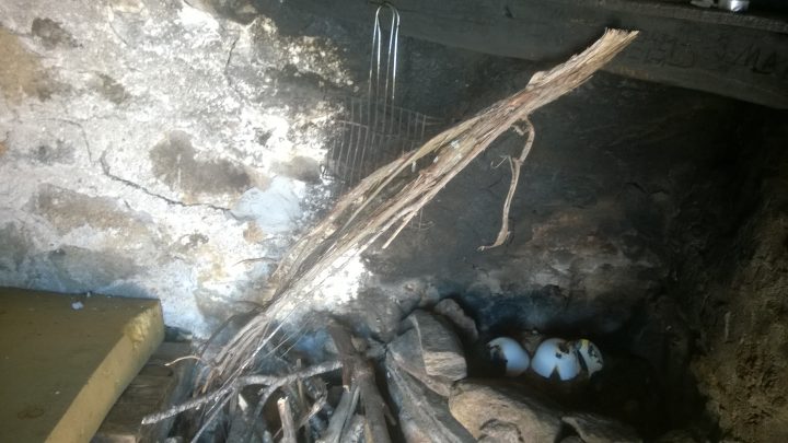 Cabane de Tessoula
