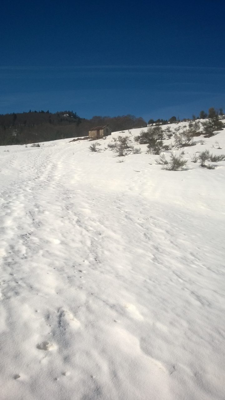 Cabane de Tessoula