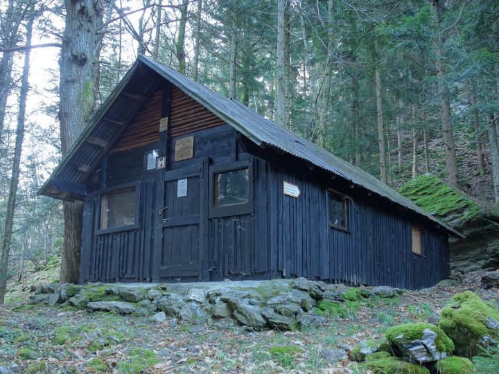 Refuge forestier de Rhonne