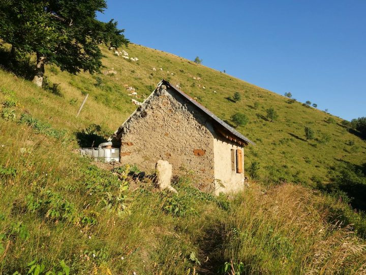 Abri Cumina