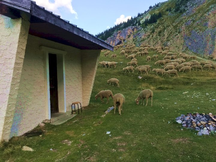 Cabane du Vallon d'Âne