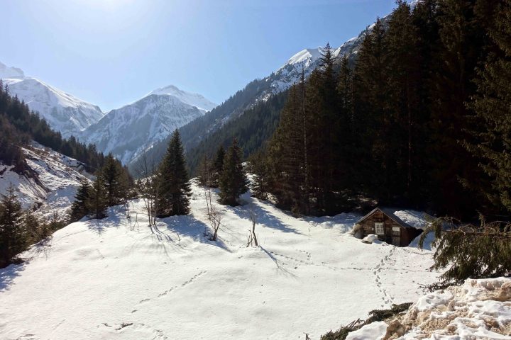 Chalet ONF de Val Froide