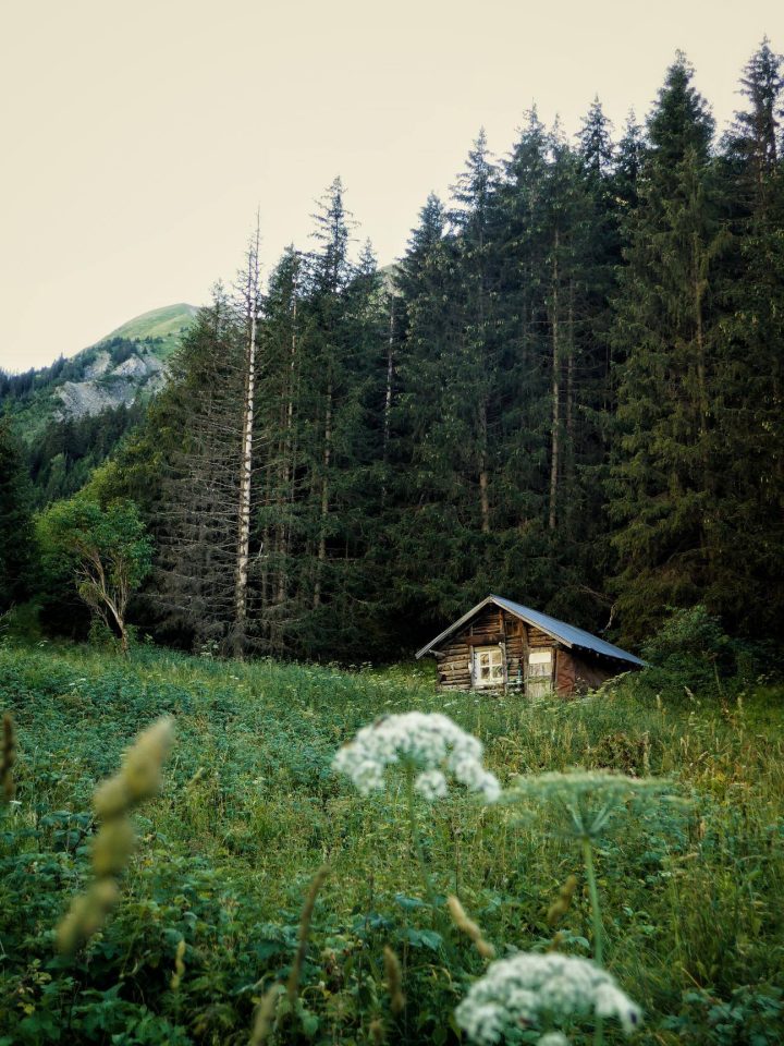 Chalet ONF de Val Froide