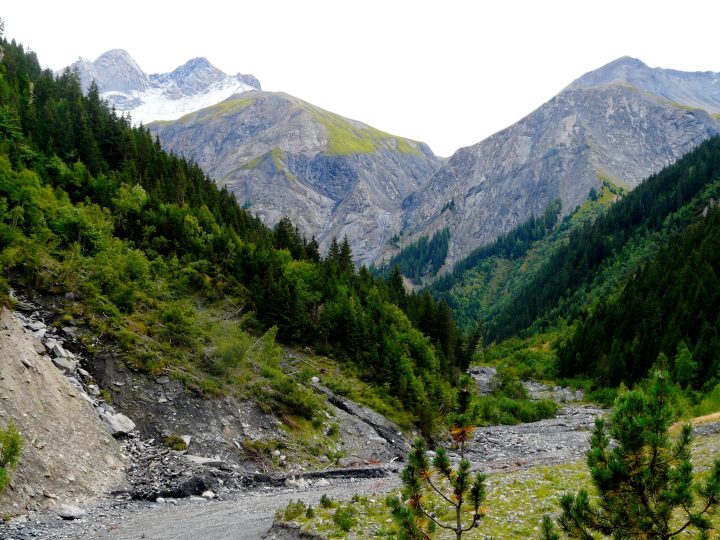 Chalet ONF de Val Froide