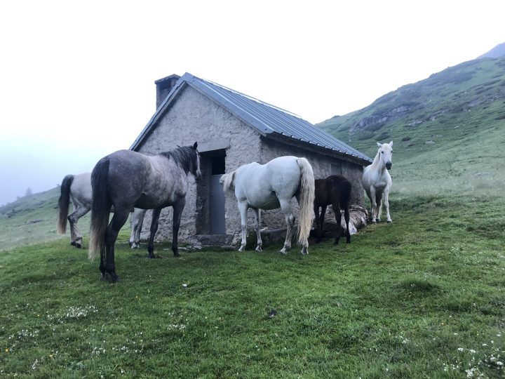 Cabane de Pailha