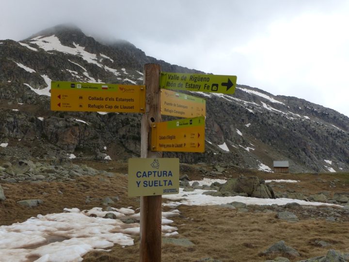 Refugi d'Anglios