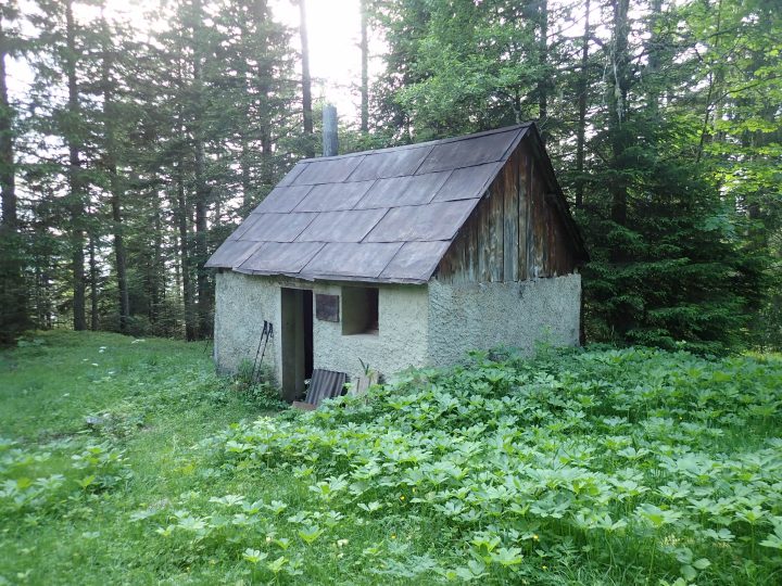 Cabane forestière de Fontfroide