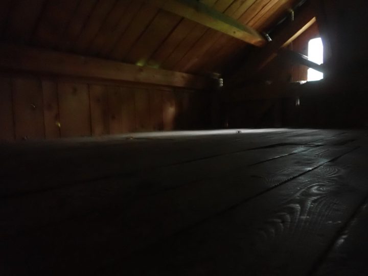 Cabane forestière de Fontfroide