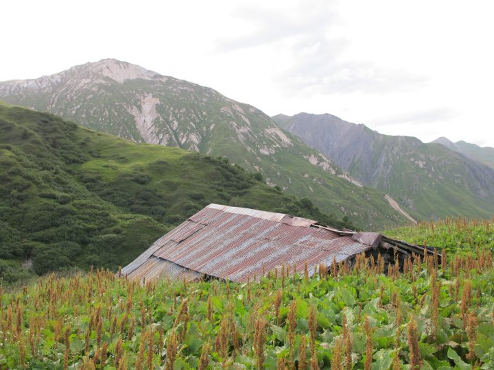 Cabane sous les Mûres Rouges