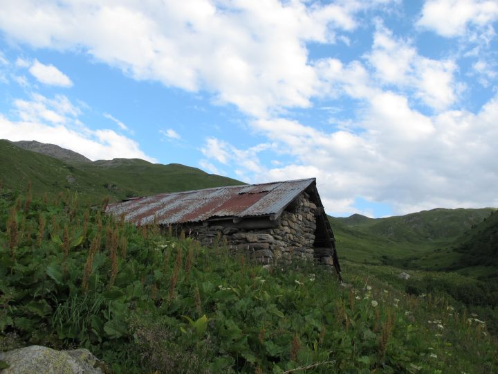 Cabane sous les Mûres Rouges