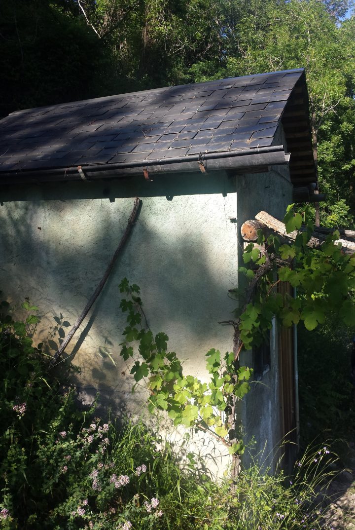 Abri des Vignes