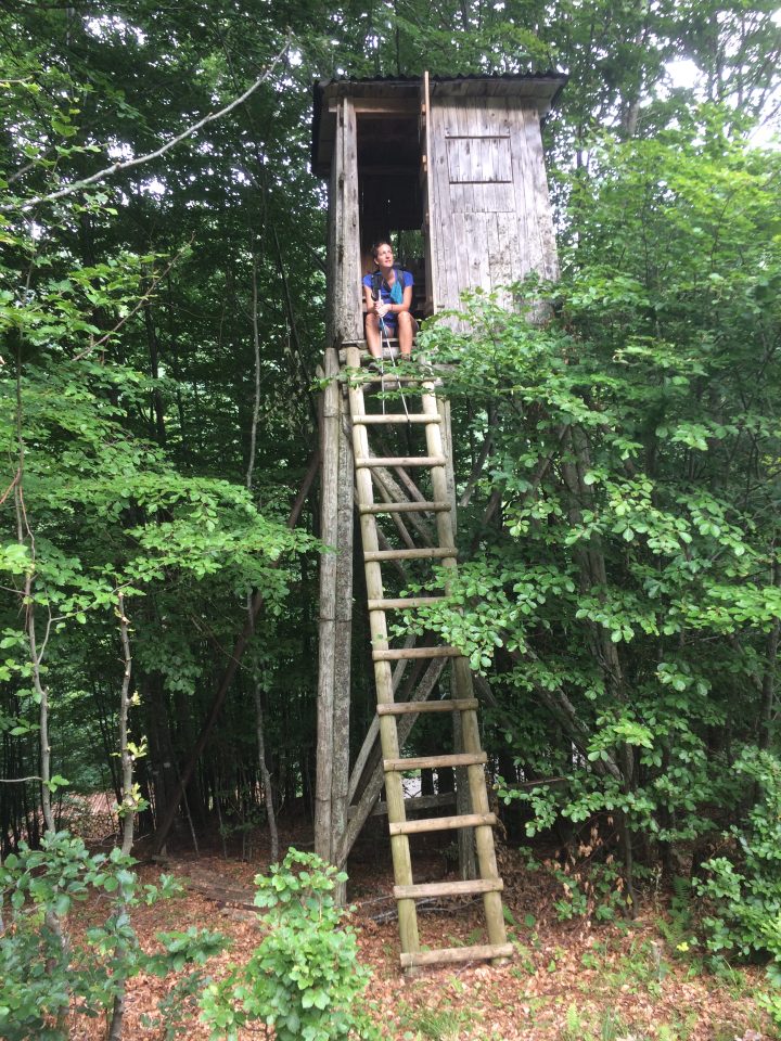Cabane Du Hochmiss