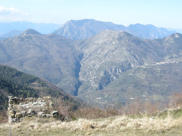 Abri de Plat Liberte