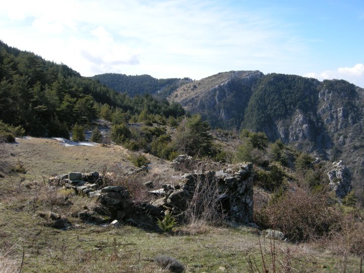 Abri de Plat Liberte