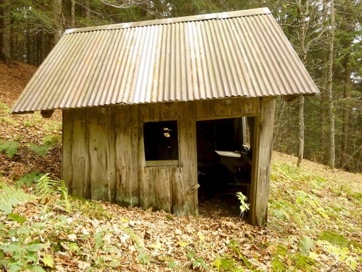 Abri du Gros Muset