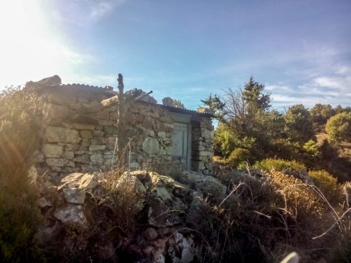 Abri de Salisei