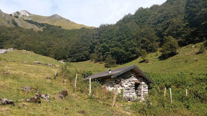 Cabane d'Aygues-Mortes