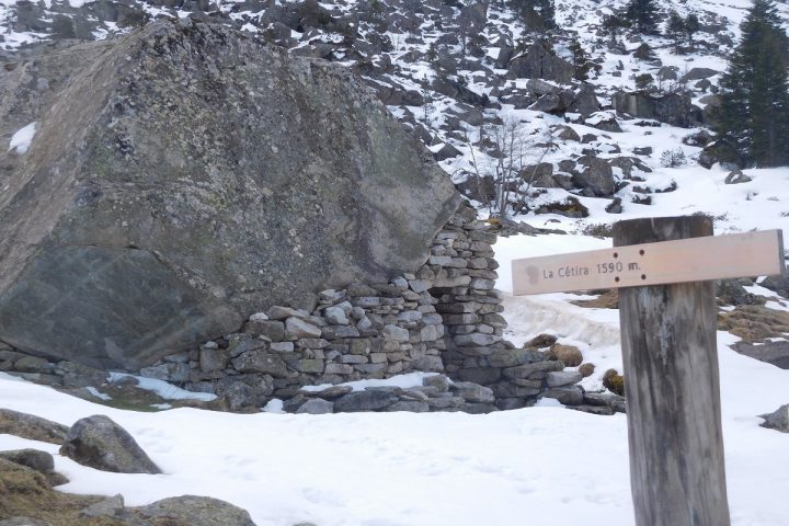 Toue de Cétira
