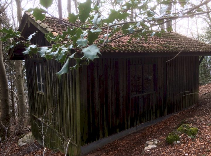 Cabane de la Renardière (ou du Bois Vert)