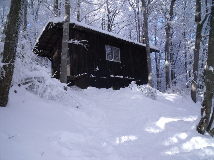 Cabane de la Renardière (ou du Bois Vert)