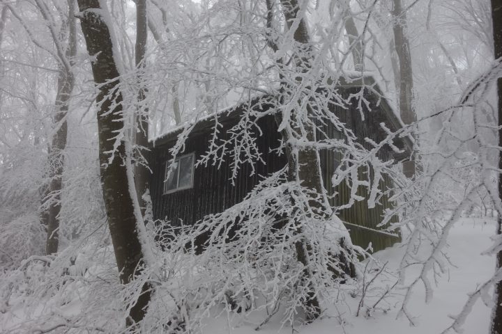 Cabane de la Renardière (ou du Bois Vert)