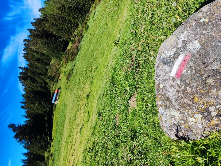 Jasse du col de Joux