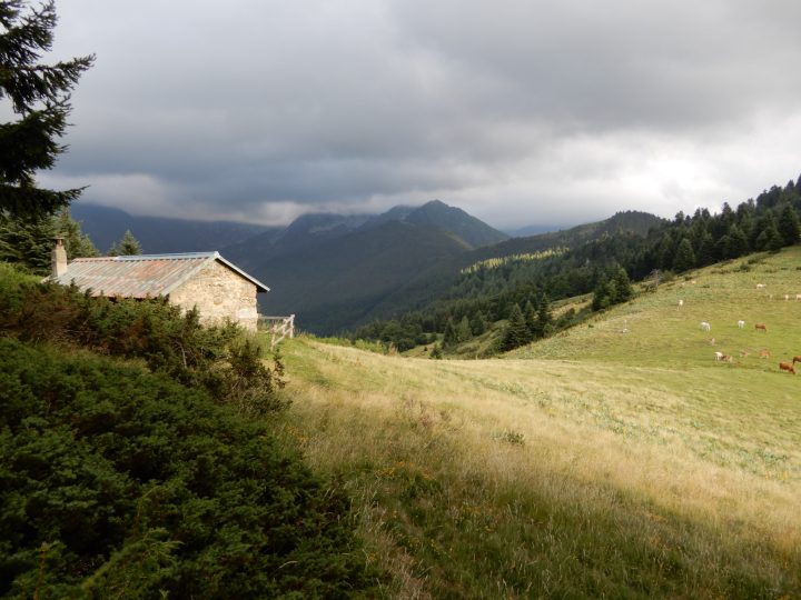 Jasse du col de Joux