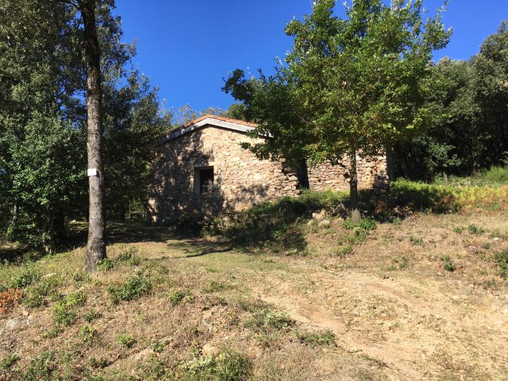 Jasse de Courtes