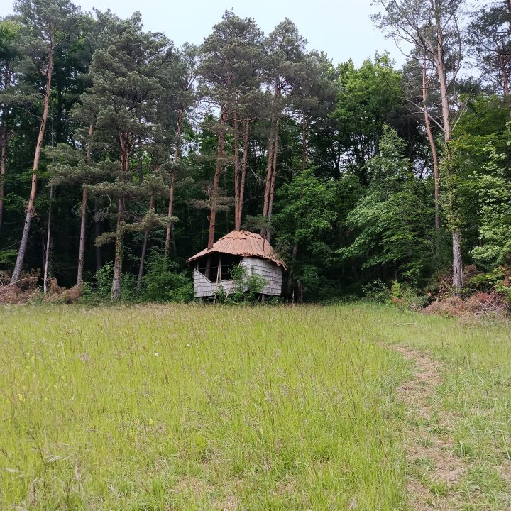 Cabane de la Sauvageonne