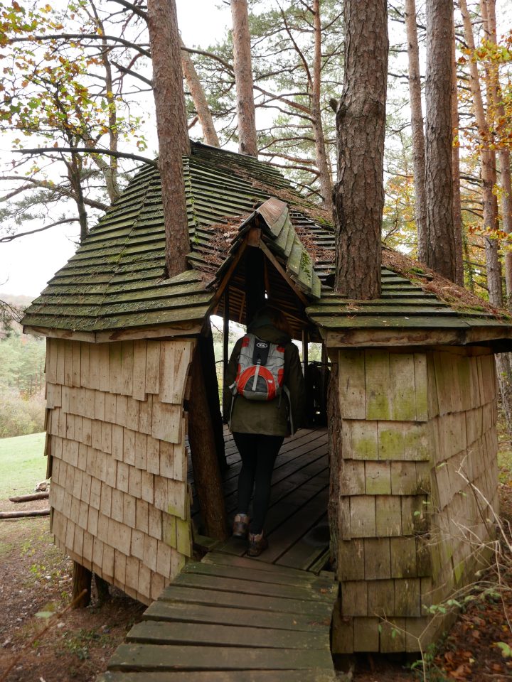 Cabane de la Sauvageonne