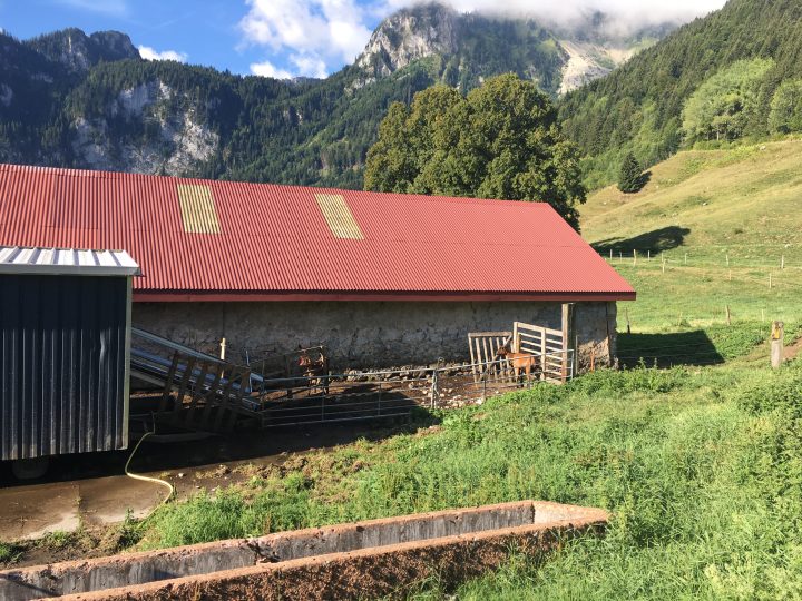 Alpage de Chalavornaire