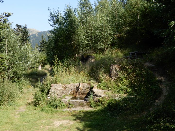 Maison forestière de l'Estanyol