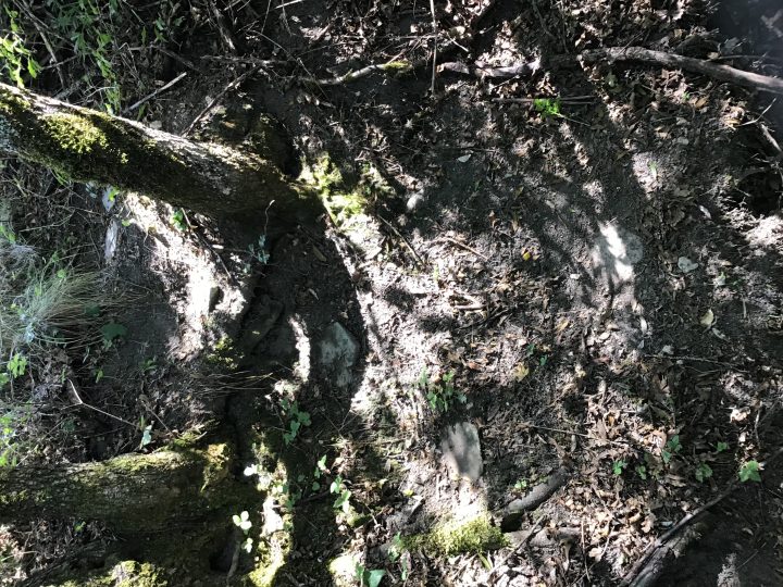 Cabane de Grenagion
