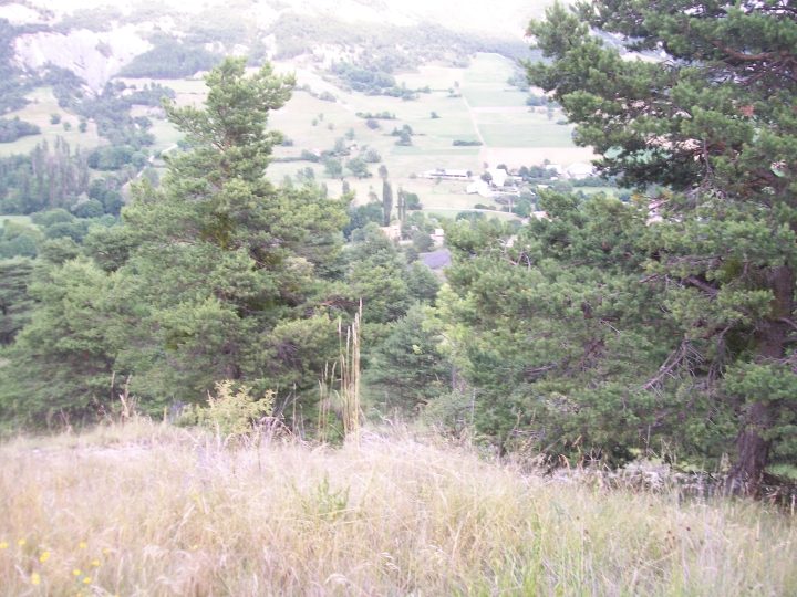 Cabane de Grenagion
