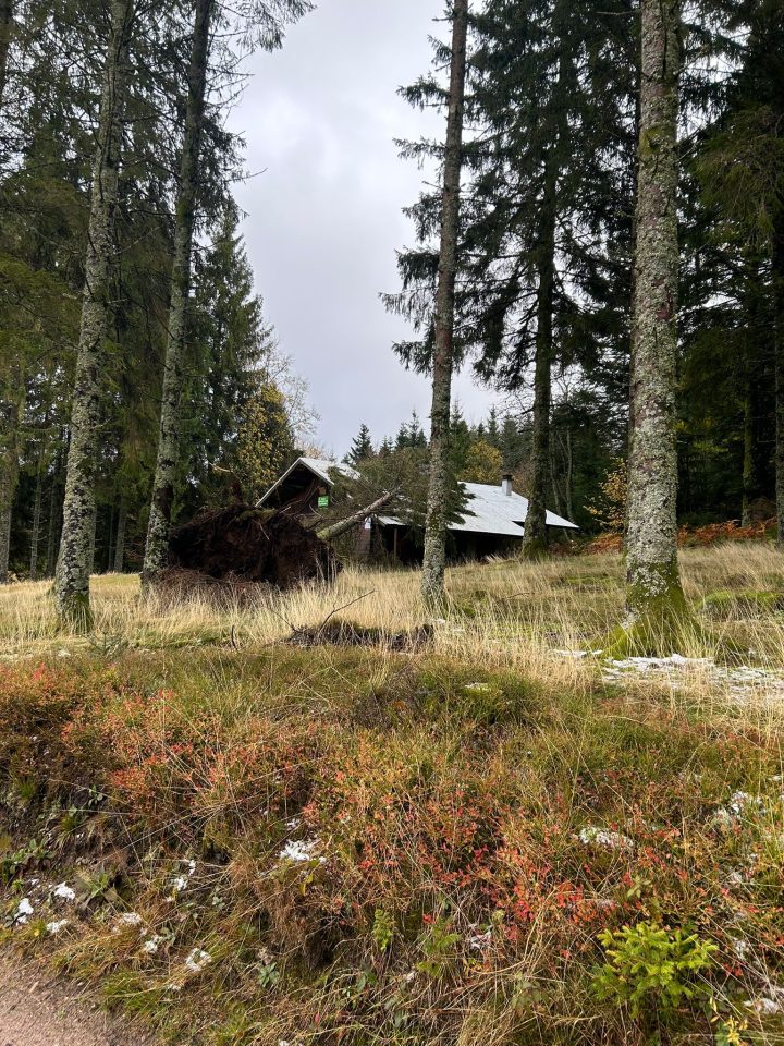 Chalet des Charmes